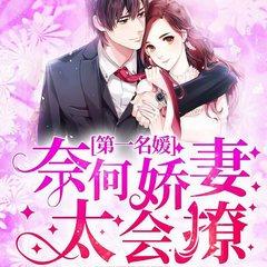 第一名媛,奈何娇妻太会撩有声小说