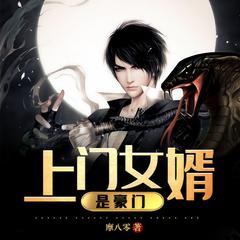 上门女婿是豪门有声小说